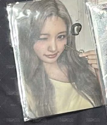 支架秋