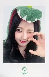 24大隊 mmt 4.0 簽售卡 240811