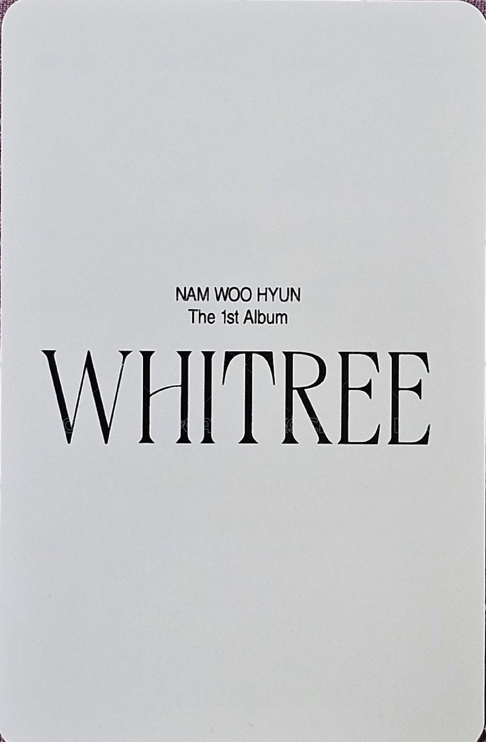 WHITREE k4 預購 特典卡  背面