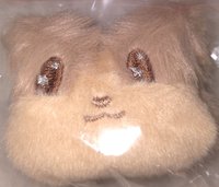 吊娃 雨琦廣州見面會琦妙夜入場禮