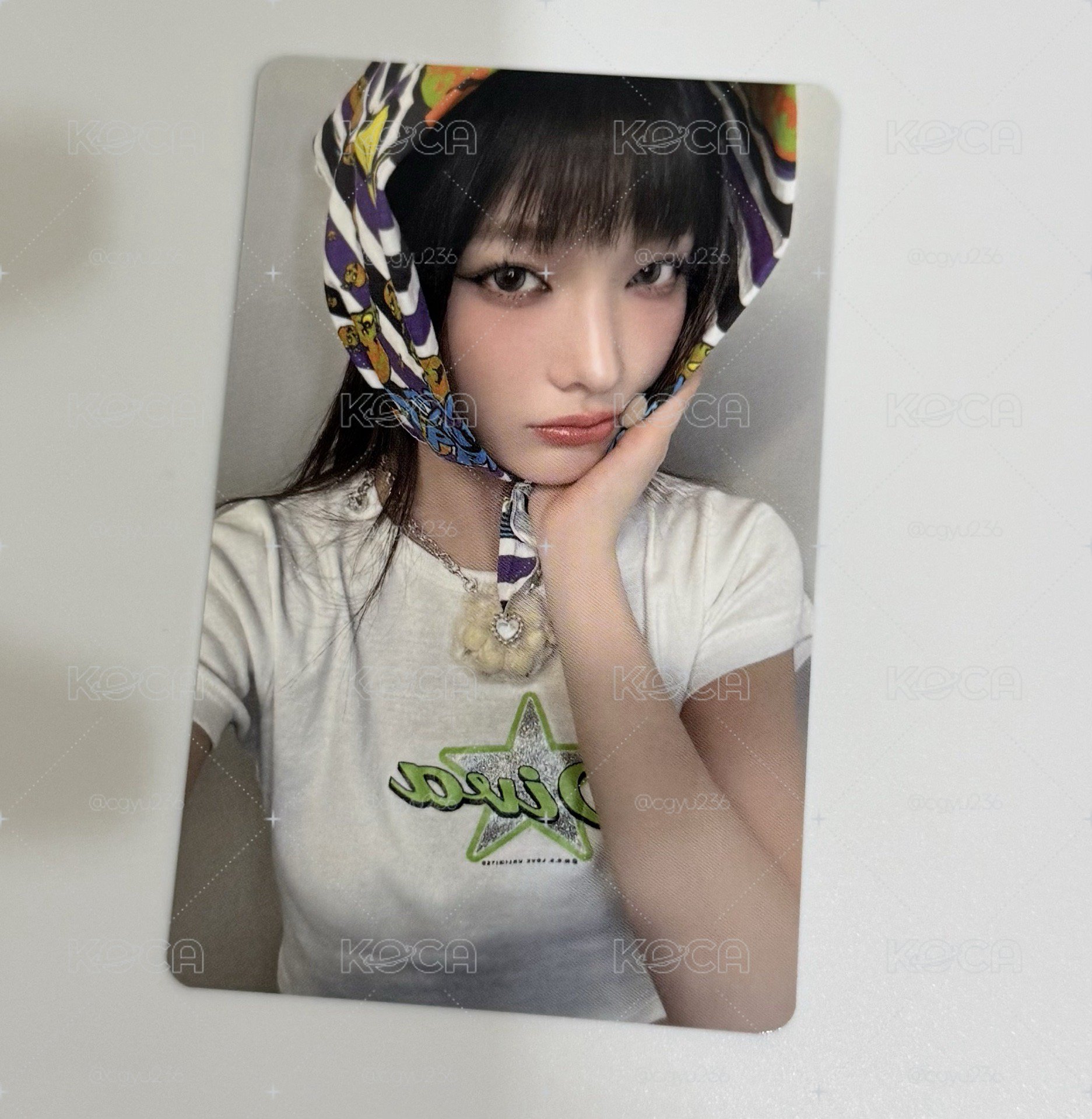 來日環球羽