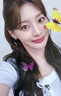 正規一 ms 1.0 特典卡 蝴蝶ver.