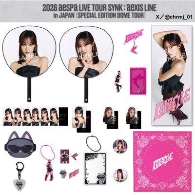 aespa 日本蛋巡 大阪場場週 未拆隨機卡 手幅 扇子 手燈吊飾 立牌