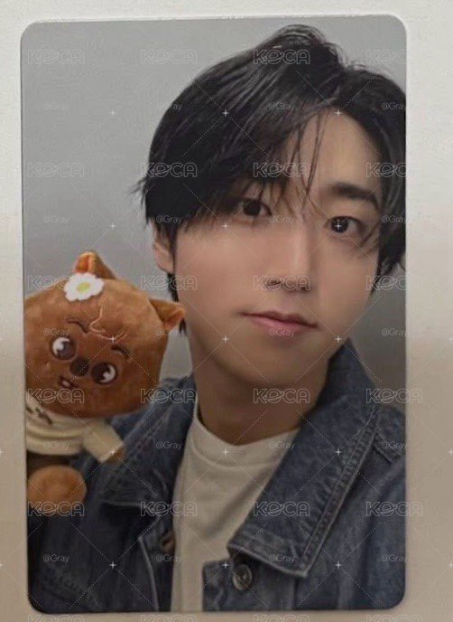 Straykids 動物方城市滿額 城