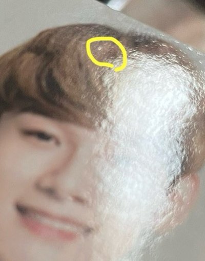 自然樂園小卡CHEN金鍾大