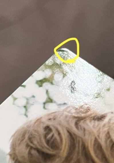 自然樂園小卡CHEN金鍾大