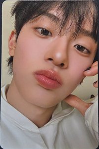 Free Falling Photobook 專輯卡 