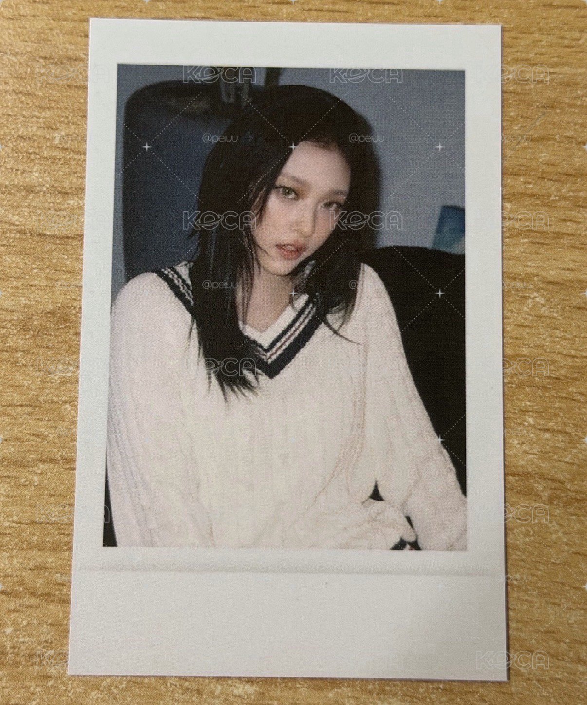 AM貓貓