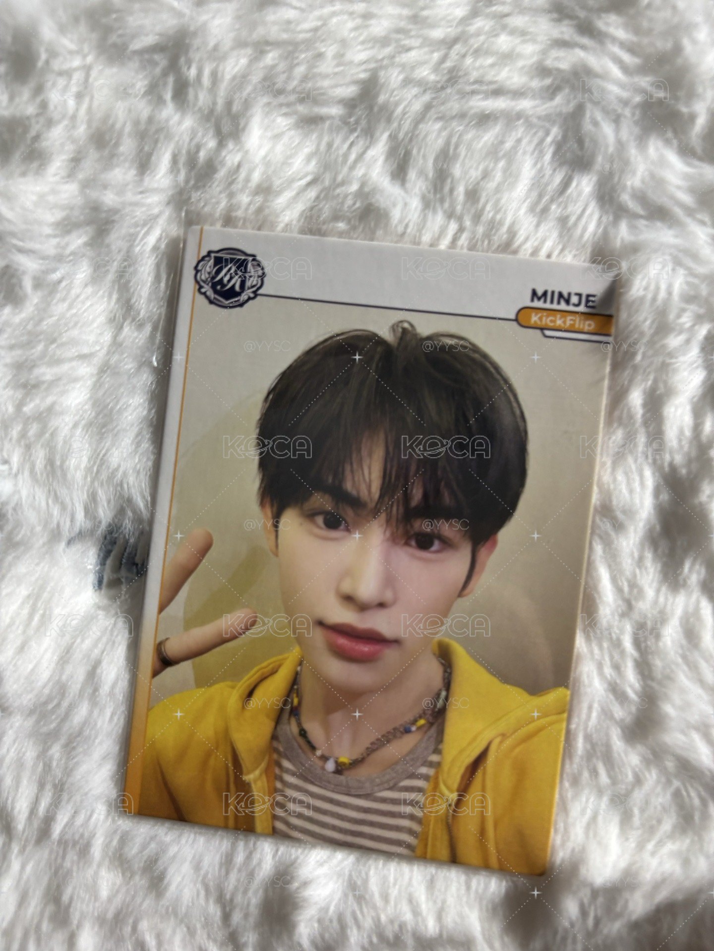 Search image