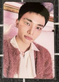 D（20）