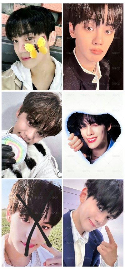 冬季奎尼尼 小卡