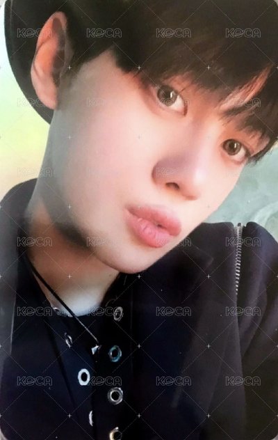 冬季奎尼尼 小卡