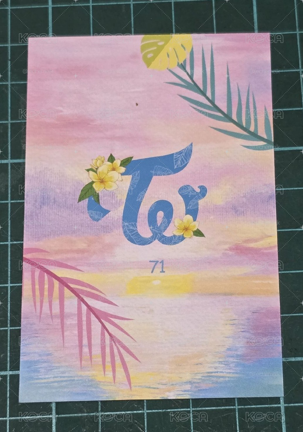 夏日隨機卡 71 娜璉 