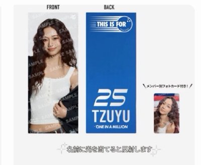 TWICE新國立手幅（非現）