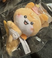 掃帚尿布寶寶弘呦