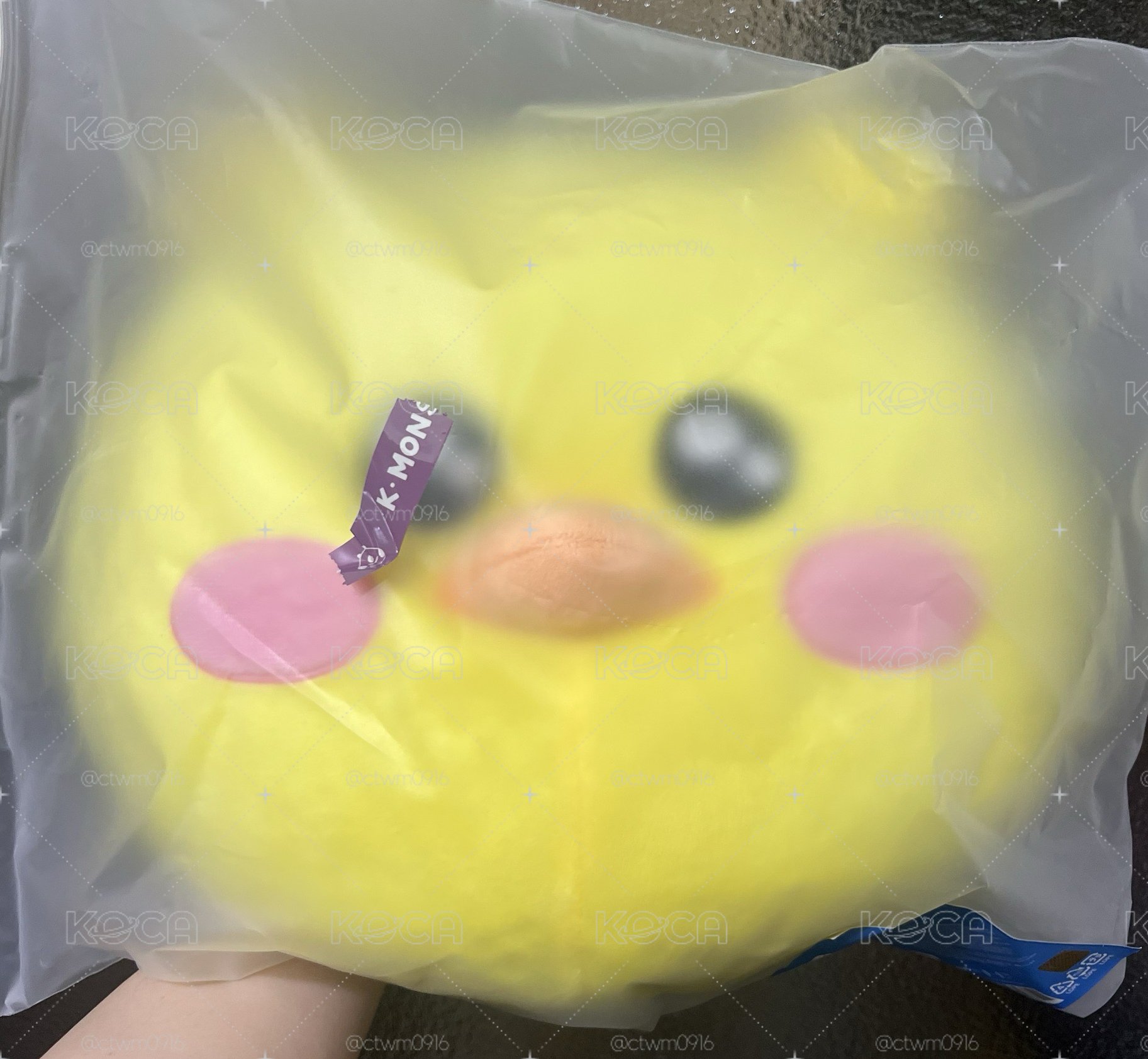 洪屁屁抱枕