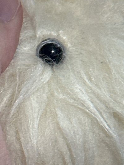 NMIXX 嫄水母 僅娃