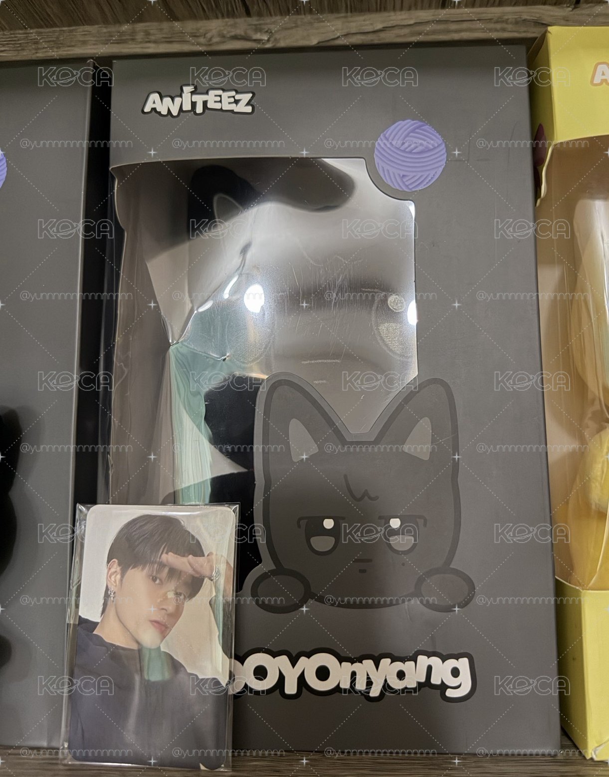 榮大娃🐈‍⬛