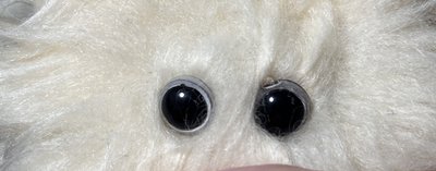 NMIXX 嫄水母 僅娃