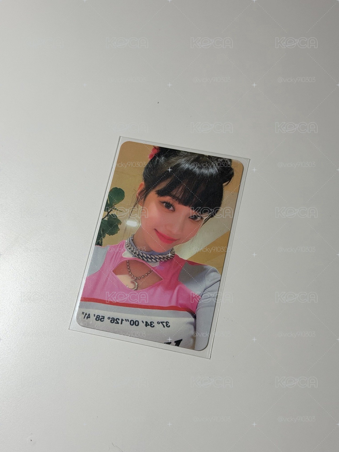 美網丸子冬