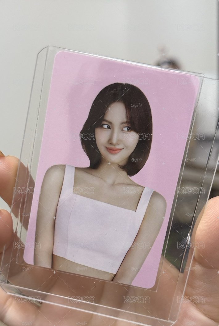 momo/彩瑛 