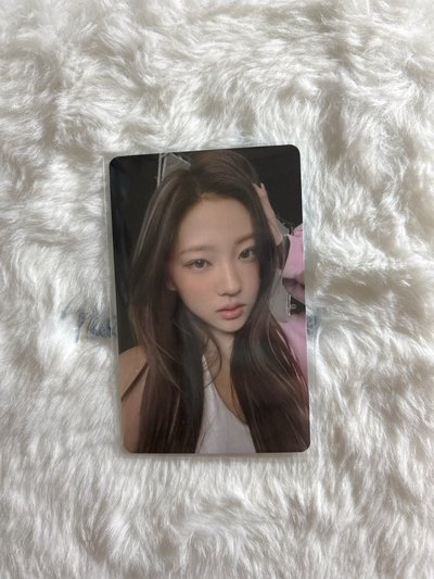 Stella Focus hmv 特典卡 