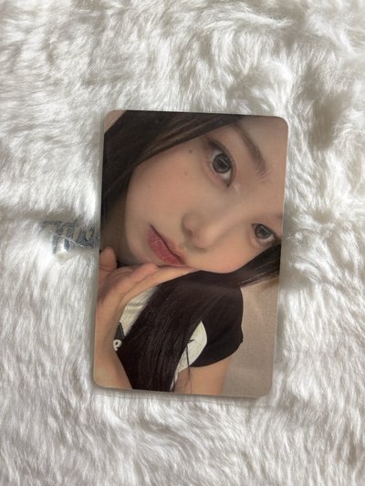 IAN Focus sr 1.0 簽售卡 