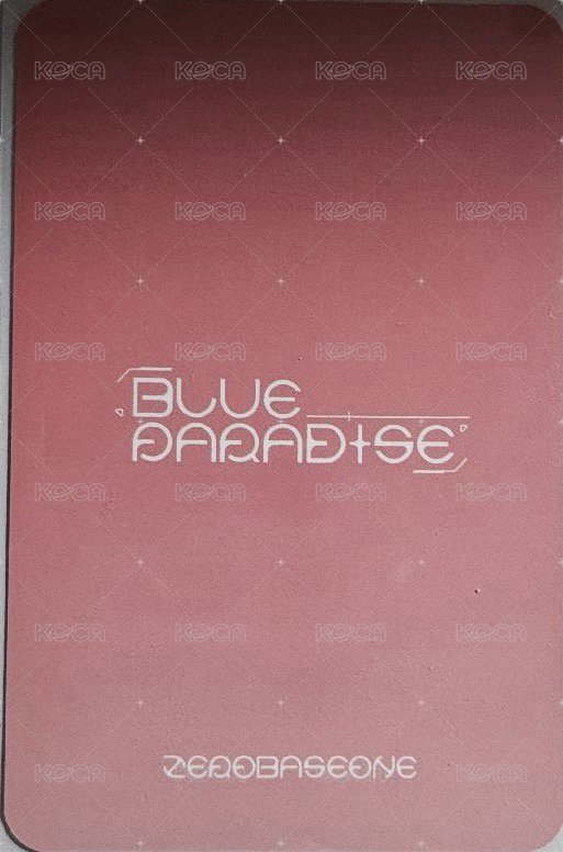 迷五 打歌卡 音中逆應援 背面