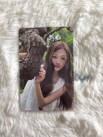 Stella 需多帶 年曆2026 隨機卡 B版自拍