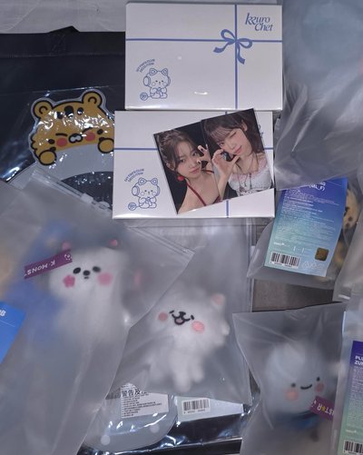 Le sserafim 櫻花 原皮娃 世巡娃 抱枕 一葉原皮 采源 一葉滿額卡