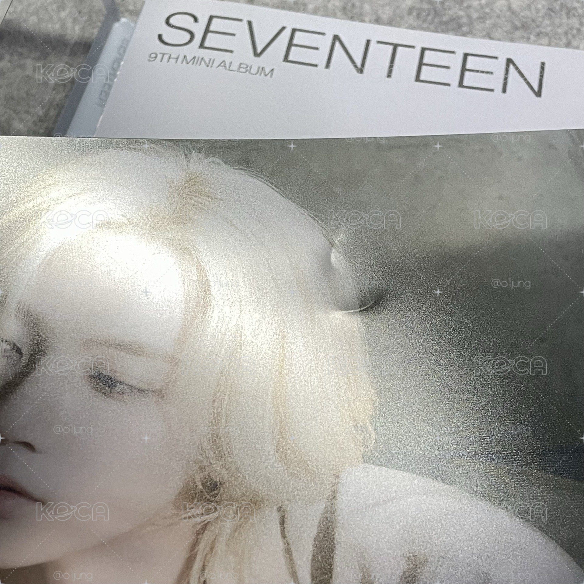 Seventeen 迷九Attacca全專 主唱隊pb 透卡 小卡 證件照