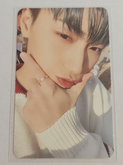 Ode to youth卡一套8張