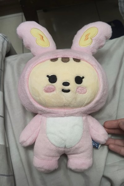 淨漢miniteen站娃 價格含綁