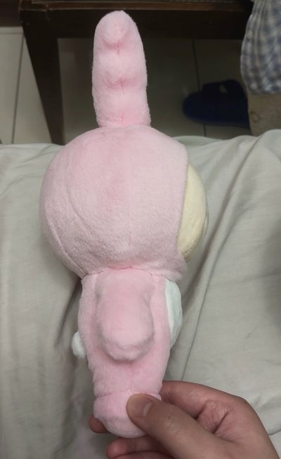 淨漢miniteen站娃 價格含綁