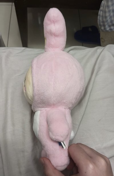 淨漢miniteen站娃 價格含綁