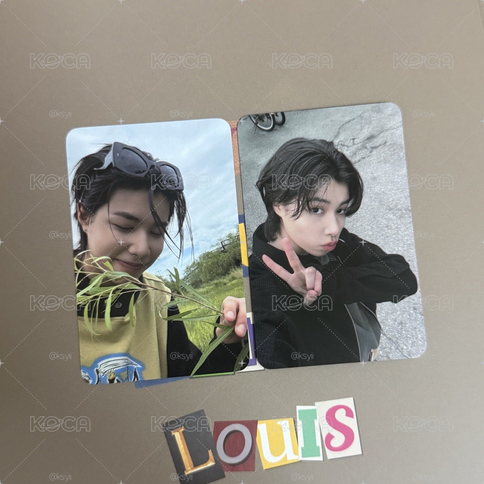 LNGSHOT 路易 貼紙書小卡 兩張一套