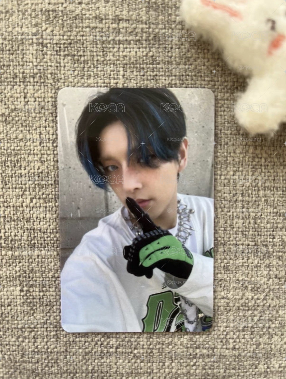 藍髮小狗🐶