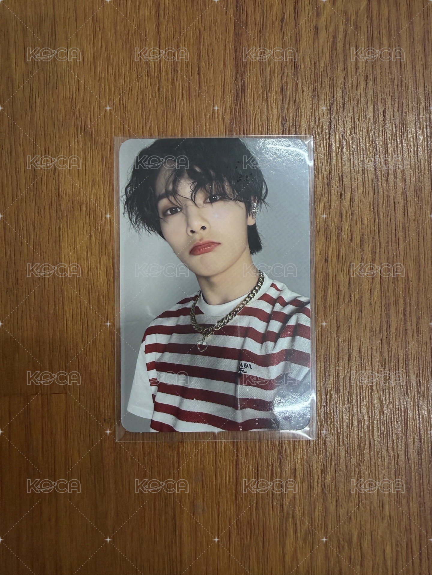 條紋小羊