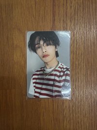 條紋小羊