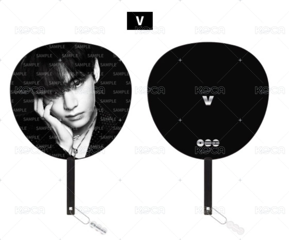 王扇V