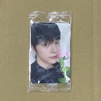 ZB1 石馬修 迷四 星河3.0 七夕玫瑰🌹ver. 中背 吃飯睡覺想修修