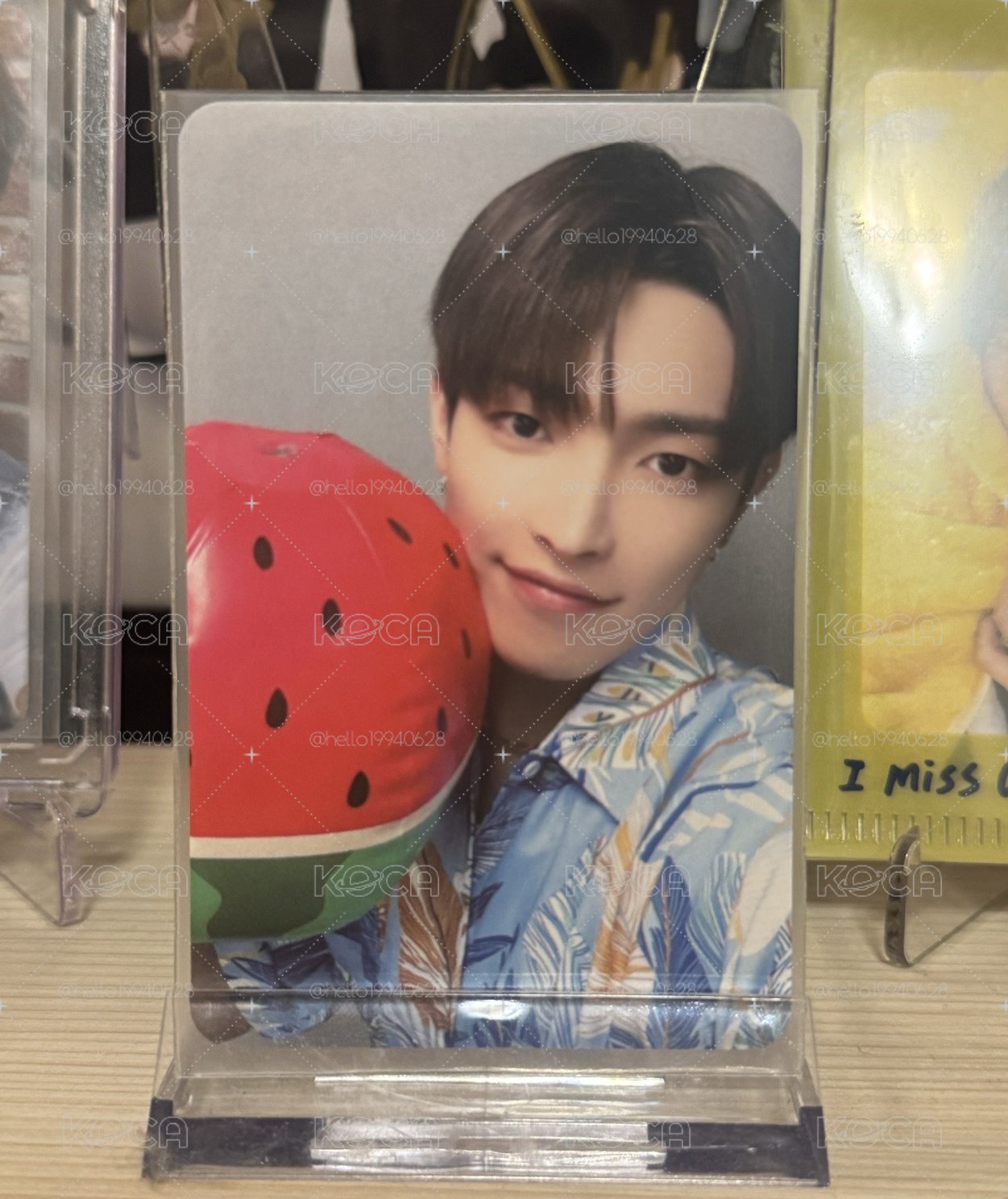 碰企尬西龜🍉