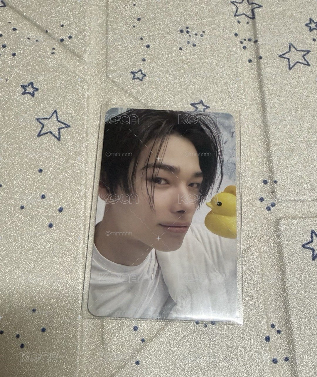 Daydream小卡們