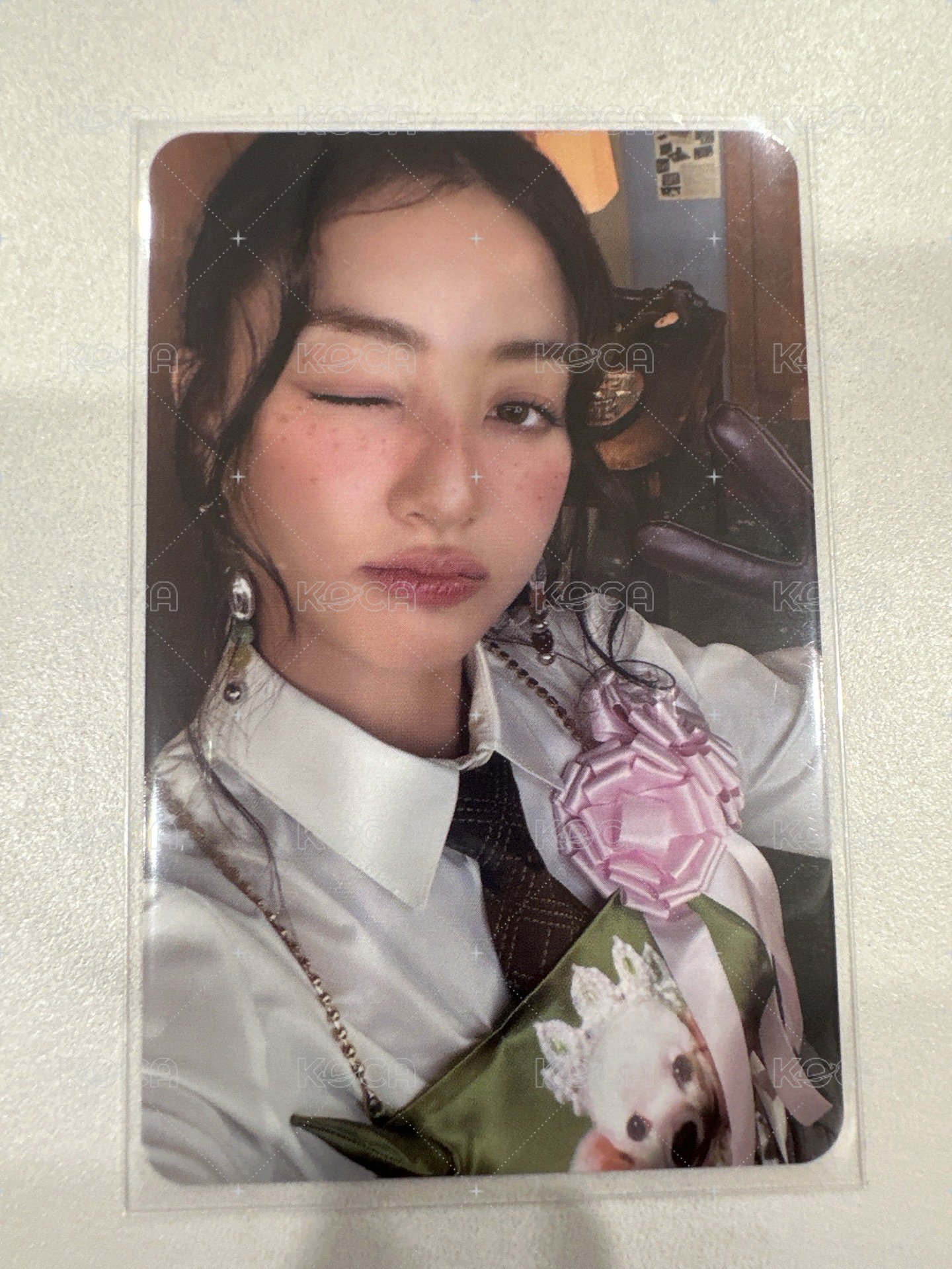 效wink 狗狗衣專卡