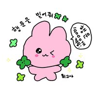 hachi