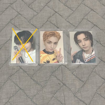 Catbbi 原皮官娃+滿額