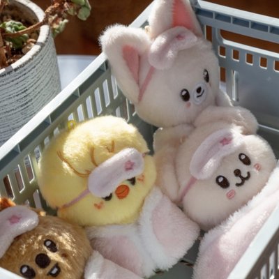 6th FM 10cm棉被娃（優先購）