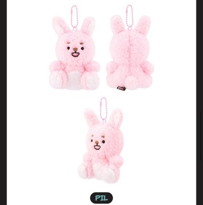 DAY6 WONPIL 필끼們 非全新無原袋 曬黑娃/坐娃/10CM/趴娃 원필🐰