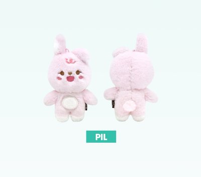 DAY6 WONPIL 필끼們 非全新無原袋 曬黑娃/坐娃/10CM/趴娃 원필🐰