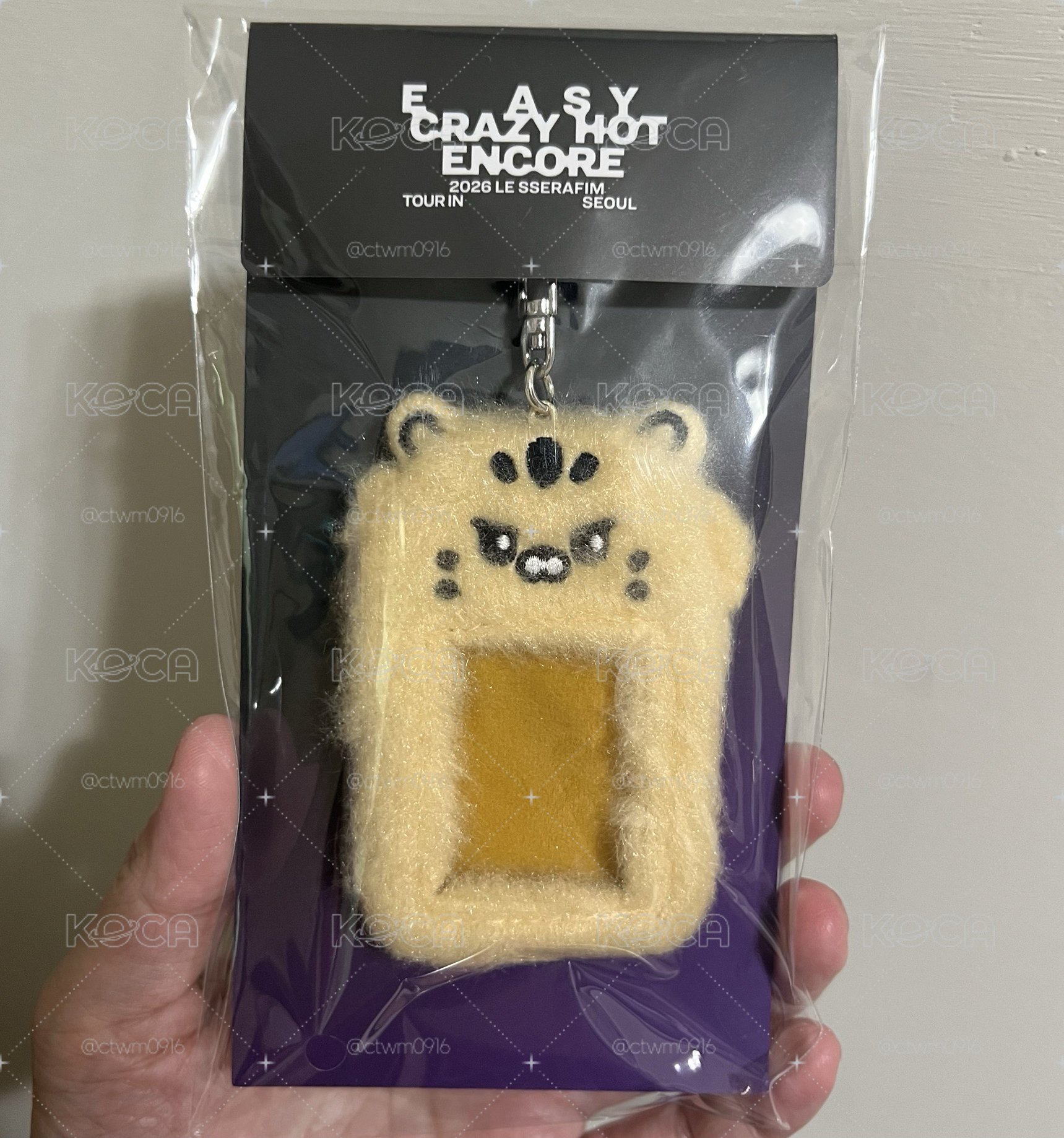 25‘巡迴 首爾安可 卡套 (組) 毛絨證件照套 金屬鑰匙圈